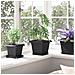 Vaso quadrato per fiori 24 pcs Nero 20 x 20 x 16 cm Plastica - Foto miniatura 4