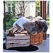 Pelle Di Agnello Vikasa Home Marrone 50x85 Cm - Foto miniatura 3