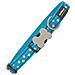 Collare Per Cani Red Dingo Style Turchese Stelle (2,5 X 41-63 Cm) - Foto miniatura 1