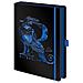 Harry Potter: Ravenclaw Foil A5 Premium Notebook (quaderno)  - Foto miniatura 1
