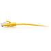 Cavo patch di rete Ethernet sottile Cat6a antigroviglio, non schermato (UTP) da 2,1 m - Giallo - Foto miniatura 2