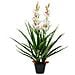 Orchidea Cymbidium Artificiale Con Vaso 100 Cm Verde - Foto miniatura 1