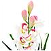 Orchidea Cymbidium Artificiale Con Vaso 100 Cm Verde - Foto miniatura 2