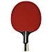 D Tt Bt Rivoluzione Concorso Ping Pong Sfera Unisexadult 5013317421937 Multi-colorato - Foto miniatura 1