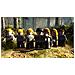 PS3 - Lego Harry Potter Anni 5-7 - Foto miniatura 5