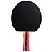 Racchetta Da Tennis Da Tavolo Sport 300 - Foto miniatura 2