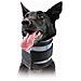 Collare Cervicale Per Cani Kvp Nero (9-36 Cm) - Foto miniatura 1
