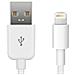 LIGHTNING0.5, USB A, Lightning, Maschio / maschio, Bianco - Foto miniatura 1