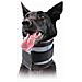 Collare Cervicale Per Cani Kvp Nero - Foto miniatura 1