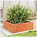 Fioriera Giardino Marrone Cera 70x70x23 Cm Legno Massello Pino - Foto miniatura 3