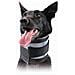 Collare Cervicale Per Cani Kvp Nero (13-48 Cm) - Foto miniatura 1