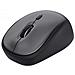 Yvi+ mouse Mano destra RF Wireless Ottico 1600 DPI - Foto miniatura 1