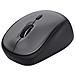 Yvi+ mouse Mano destra RF Wireless Ottico 1600 DPI - Foto miniatura 9