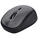 Yvi+ mouse Mano destra RF Wireless Ottico 1600 DPI - Foto miniatura 10