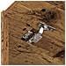 Mobiletto per lavatrice Legno vecchio 67,5 x 68 x 200 cm - Foto miniatura 9