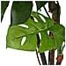 Pianta Artificiale Di Monstera Con Vaso 170 Cm Verde - Foto miniatura 2