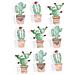 9 Adesivi 3d - Cactus Messicano 4,5 Cm - Foto miniatura 2