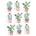 9 Adesivi 3d - Cactus Messicano 4,5 Cm - Foto miniatura 1