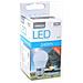 Lampadina Led Sferica E27 3w 240 Lm 6000 K Luce Bianca - Foto miniatura 3