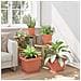 Vaso quadrato per fiori 6 pcs Rosso Mattone 33 x 33 x 26 cm - Foto miniatura 4
