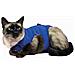 Maglia Di Recupero Per Animali Azzurro (53-61 Cm) - Foto miniatura 1