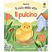 Lesley Sims - Il Pulcino. Ediz. A Colori - Foto miniatura 2