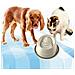 Ciotola Automatica Fontana Vassoio Acqua Corrente Per Cane E Gatto Anti Scivolo - Foto miniatura 1