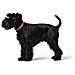 Collare Per Cani Covenience Xs-s Rosa (23-31 Cm) - Foto miniatura 3