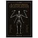 E.B. Hudspeth - Il codice delle creature estinte. L'opera perduta del dottor Spencer Black - Foto miniatura 1