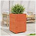 Fioriera Giardino Marrone Cera 50x50x72,5cm Legno Massello Pino - Foto miniatura 4