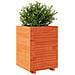 Fioriera Giardino Marrone Cera 50x50x72,5cm Legno Massello Pino - Foto miniatura 5
