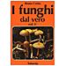 Bruno Cetto - I funghi dal vero. Vol. 3 - Foto miniatura 2