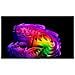 OLED evo AI 65'' Serie G6 OLED65G64LW, 4K, Hyper Radiant Color, Staffa a filo muro inclusa, G-Sync, SMART TV 2026 - Foto miniatura 3