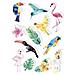 12 Adesivi 3d - Uccelli Tropicali 6 Cm - Foto miniatura 1