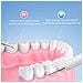 Set Di Spazzolini Elettrici Set Di Pulizia Dei Denti Con 4 Testine White - Foto miniatura 3
