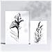 Set Di 6 Stampe Boutonnieres Stampe Naturalistiche E Botaniche Con Motivi Floreali Nel Classico Design D'interni In Bianco E Nero A3 & A4 Senza Cornice - Foto miniatura 2