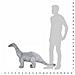 Dinosauro Brachiosaurus in Peluche in Piedi Grigio XXL - Foto miniatura 3