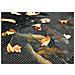Hozelock 3m X 4m Pond Copertura Della Rete - Foto miniatura 2