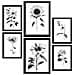 Set Di 6 Stampe Stampe Floreali Luminose E Botaniche Con Motivi Floreali In Un Classico Design D'interni In Bianco E Nero A3 & A4 Senza Cornice - Foto miniatura 1