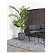 Palma Areca Artificiale Verde H 175 Cm - Foto miniatura 3