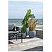 Palma Areca Artificiale Verde H 175 Cm - Foto miniatura 6