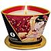 Candela Per Massaggi Fragola 170 Ml 45087 S13002634 - Foto miniatura 1