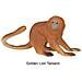 Safari Ltd Apes & Monkeys Toob - 12 Figurine: Babbuino, Orango, Tamarino, Lemure, Gorilla, Mandrillo, Scimpanzé, Scoiattolo, Ragno E Scimmie Lanose - Personaggi Giocattolo Educativi Per Ragazzi, Ragazze E Bambini Dai 3 Anni In Su - Foto miniatura 2