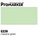 G339 Promarker Verde Prato - Foto miniatura 1