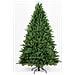Albero Di Natale Vipiteno Verde - Foto miniatura 1