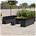 Set di divani da giardino in 11 pezzi con cuscini neri in rattan poliestere e acacia,  Divano da giardino per 2 persone con cuscini neri in rattan poliestere,  Set da pranzo da giardino in 3 pezzi con cuscini neri in rattan poliestere e acacia - Foto miniatura 3