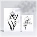 Set Di 6 Stampe Delicate Stampe Floreali E Botaniche Con Motivi Floreali In Un Classico Design D'interni In Bianco E Nero A3 & A4 Senza Cornice - Foto miniatura 2