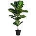 Ficus Lyrata Artificiale Fiddle Leaf Tree Verde H 100 Cm - Foto miniatura 1