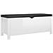 Contenitore con Cuscino Bianco Lucido 105x40x45cm Multistrato - Foto miniatura 2
