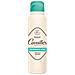 Deodorante Spray 48h 150ml Dermato - Foto miniatura 1